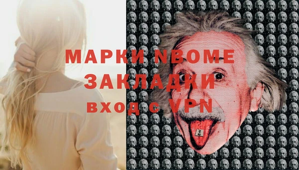 мдпв Гусев