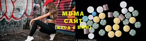 мдпв Гусев