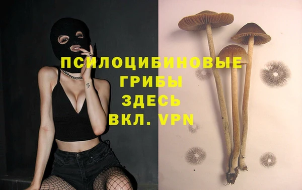 прущая мука Гусь-Хрустальный