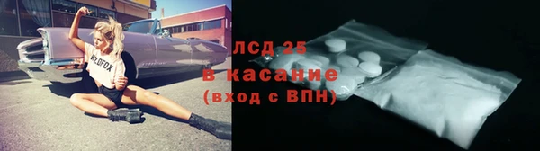 мдпв Гусев
