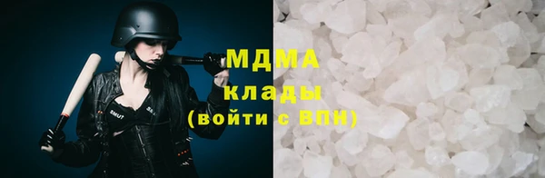 мдпв Гусев