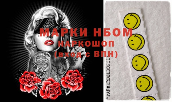 мдпв Гусев