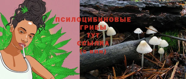 прущая мука Гусиноозёрск