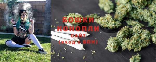 прущая мука Гусиноозёрск
