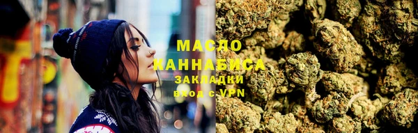 мдпв Гусев
