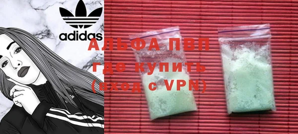 мдпв Гусев