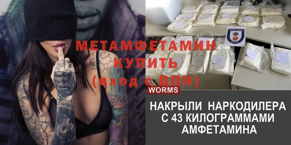 мдпв Гусев