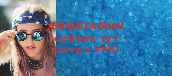 мдпв Гусев