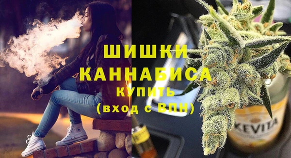 мдпв Гусев