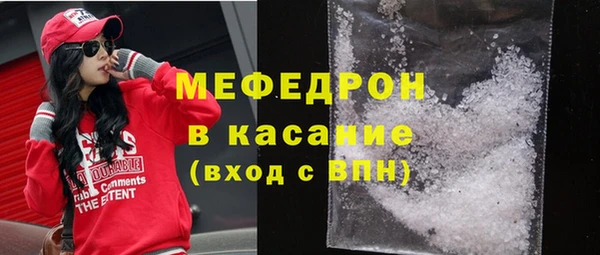 мдпв Гусев
