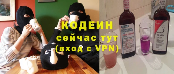 мдпв Гусев