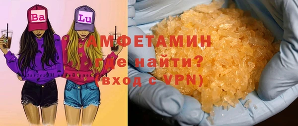 мдпв Гусев