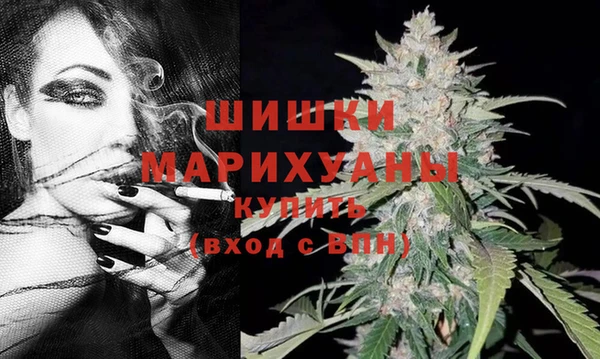 мдпв Гусев