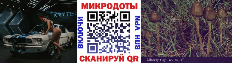 Купить закладки  Нефтекамск  Галлюциногенные грибы Cubensis 